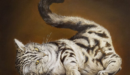 Interesting Paintings of Cute Cats