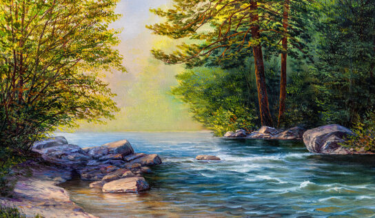 Oil Paintings by the River in the Forest