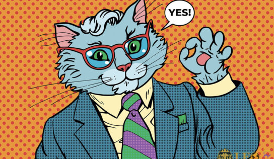 Comic Pictures with Cats