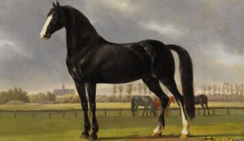 Interesting Paintings with Horses