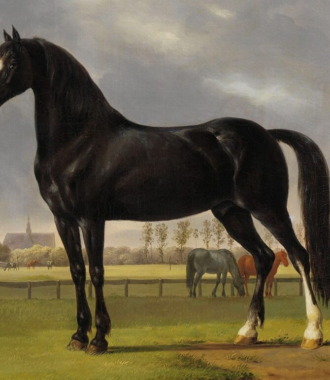 Interesting Paintings with Horses