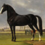 Adriaan van der Hoop’s Trotter ‘De Vlugge’ (The Fast One) in a Meadow, 1828, Original Painting